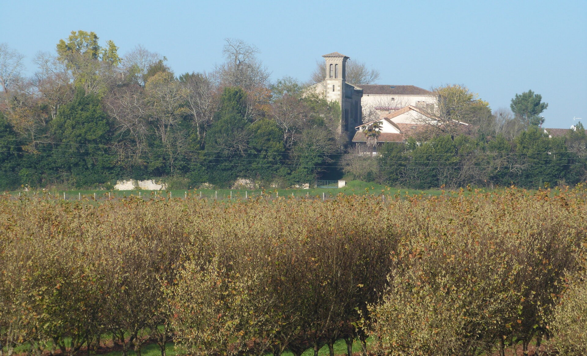 banner-image